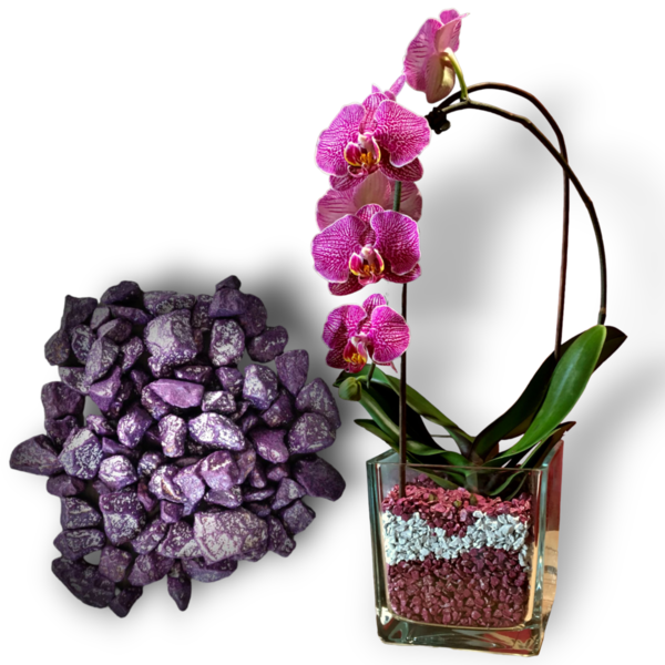 Colomi Orchideen Spezial-Substrat flieder 4-8mm
