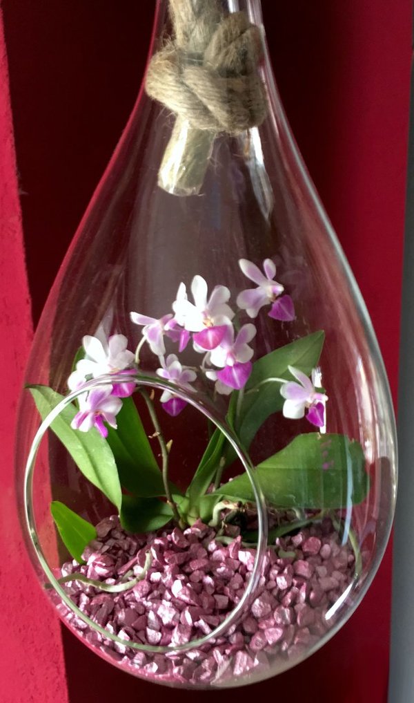 Orchideengranulat, alle Farben, Korngröße 4-8mm, Verpackungsgrößen 1 Liter oder 4 Liter auswählen