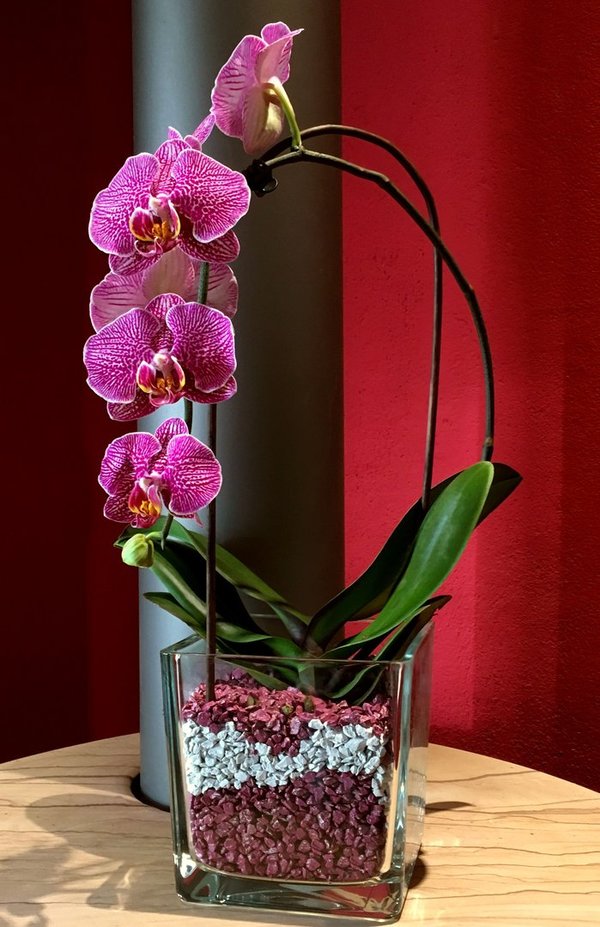 Orchideengranulat, alle Farben, Korngröße 4-8mm, Verpackungsgrößen 1 Liter oder 4 Liter auswählen