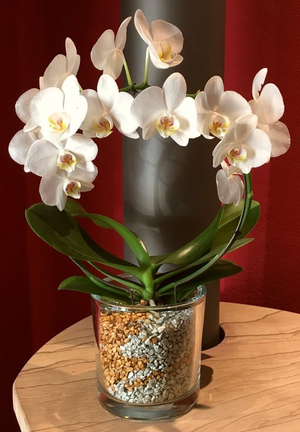 Orchideengranulat Schnellauswahl, alle Farben, Korngröße 4-8mm, 1 Liter oder 4 Liter