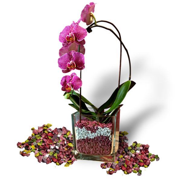 Colomi Orchideen Spezial-Substrat  Limitierte Sonderedition Potpourri 4-8mm